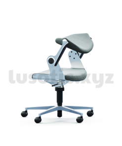 Pro Balance Chair