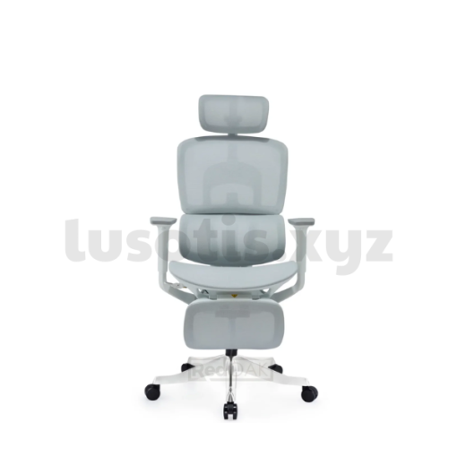 ZenSit Ergonomic Chair