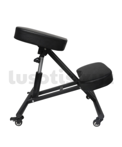 EliteSpine Adjust Chair